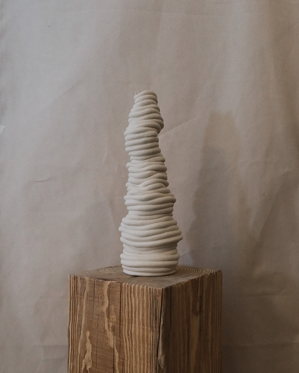 Fossil Vase No.53