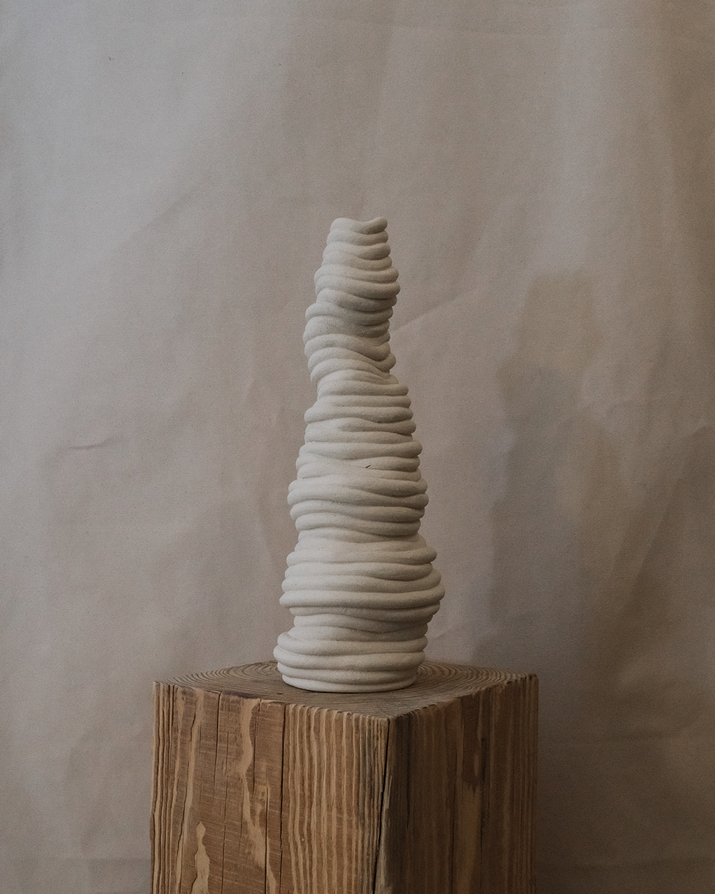 Fossil Vase No.53