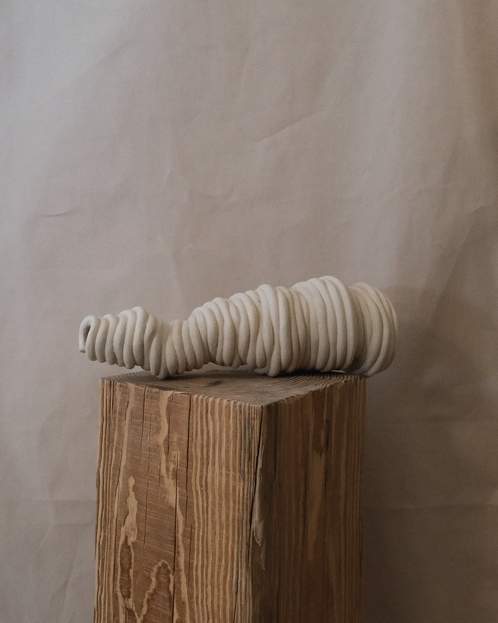Fossil Vase No.53