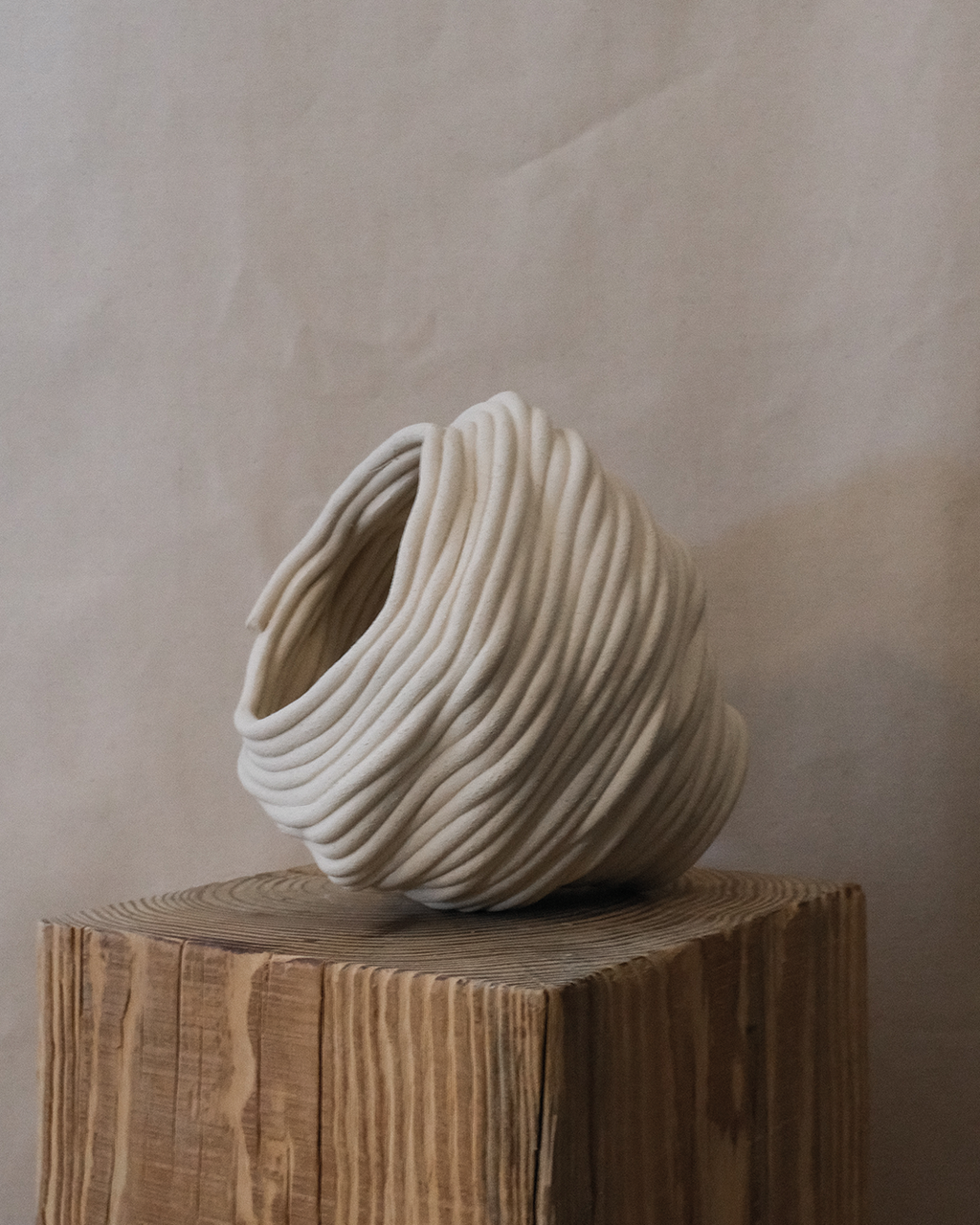 Fossil Vase No.42