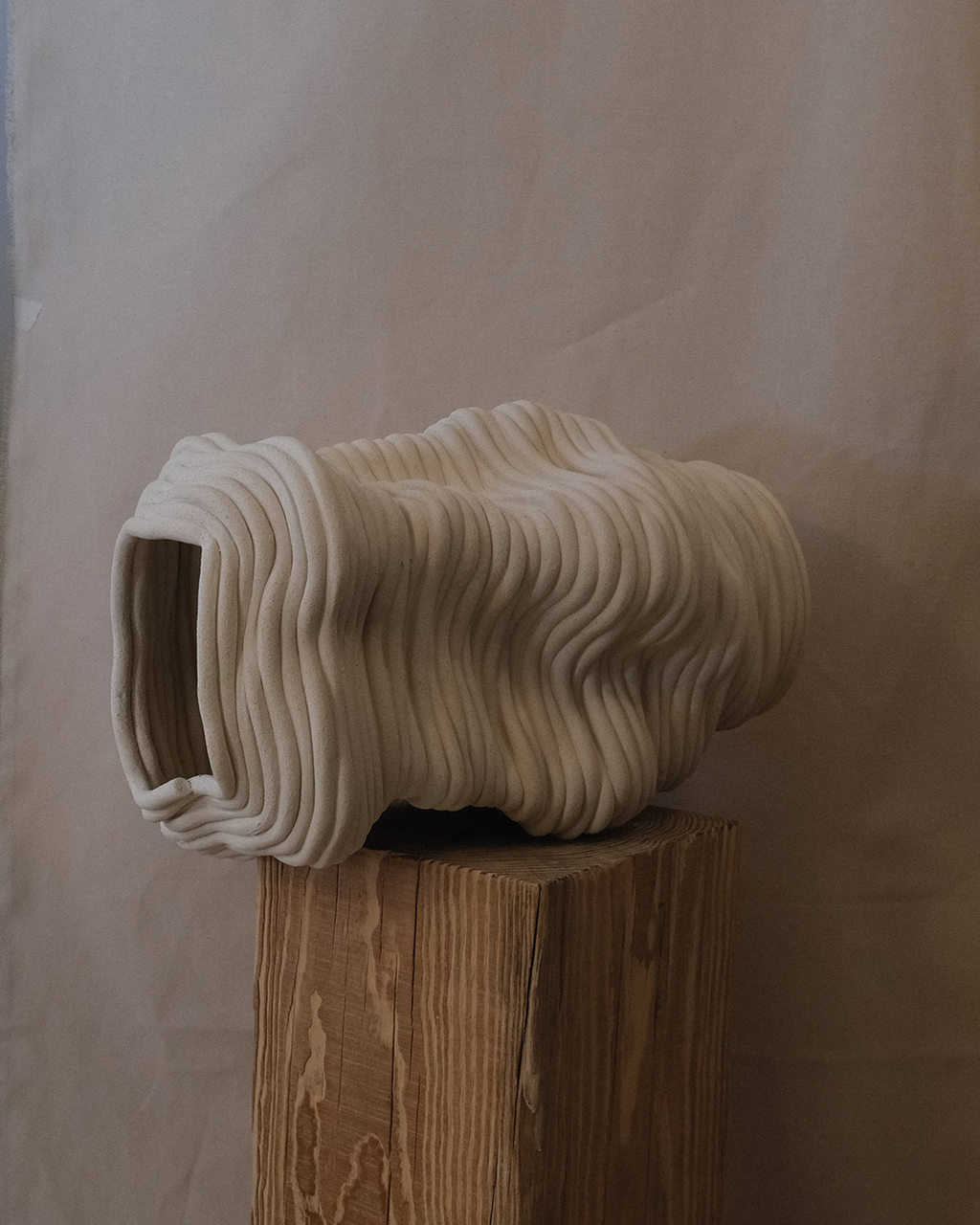 Fossil Vase No.52