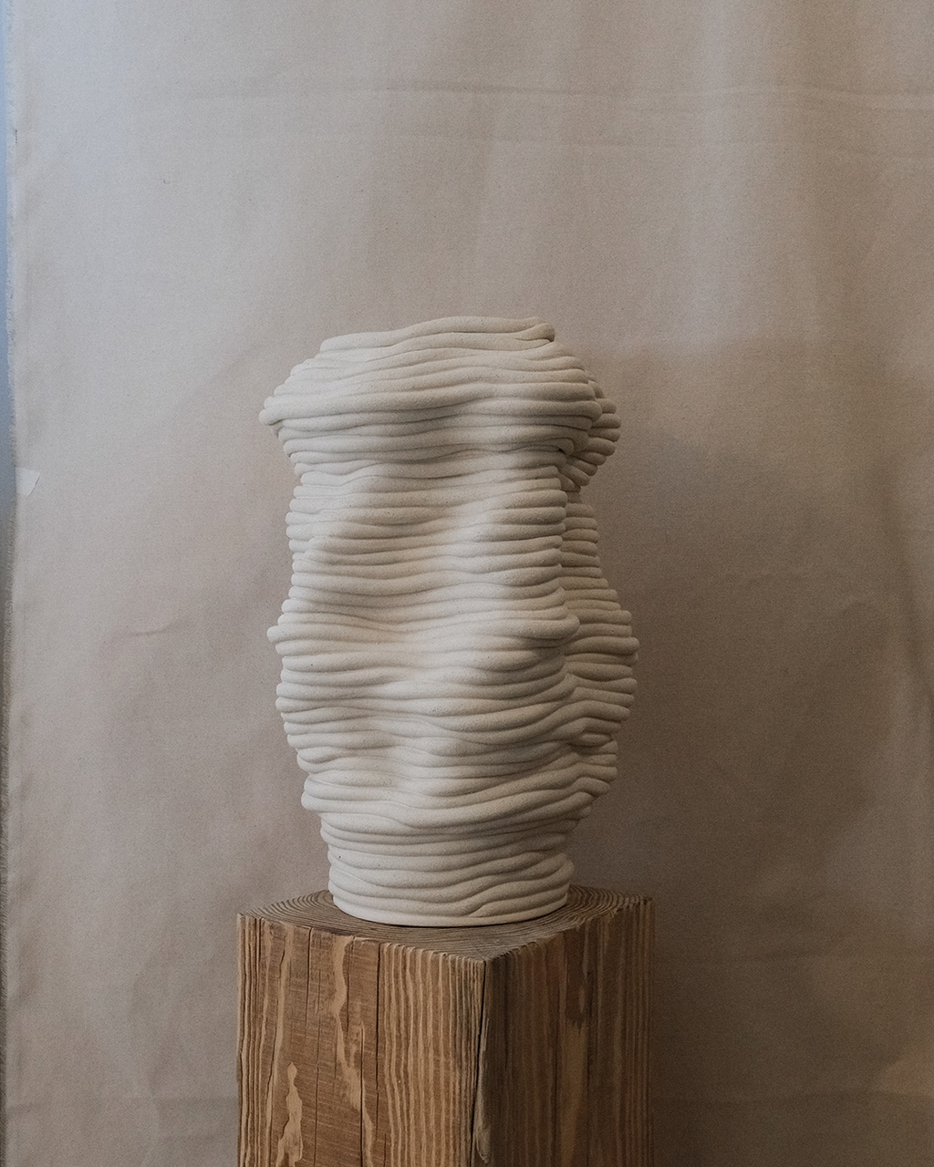 Fossil Vase No.52