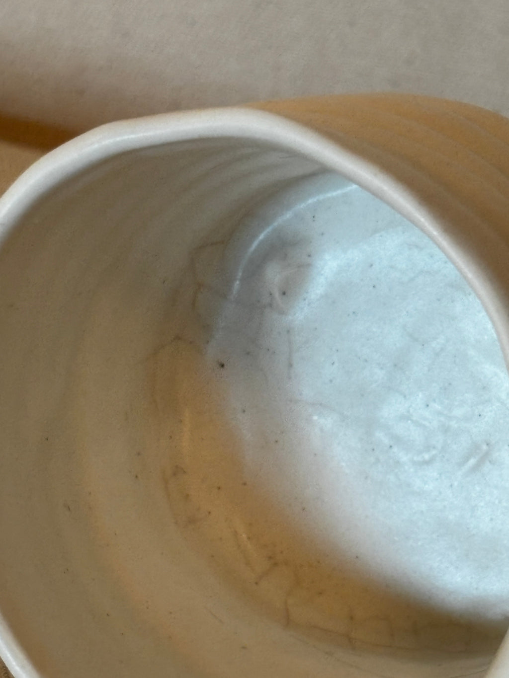 2021 Silk Cup (crazed interior)