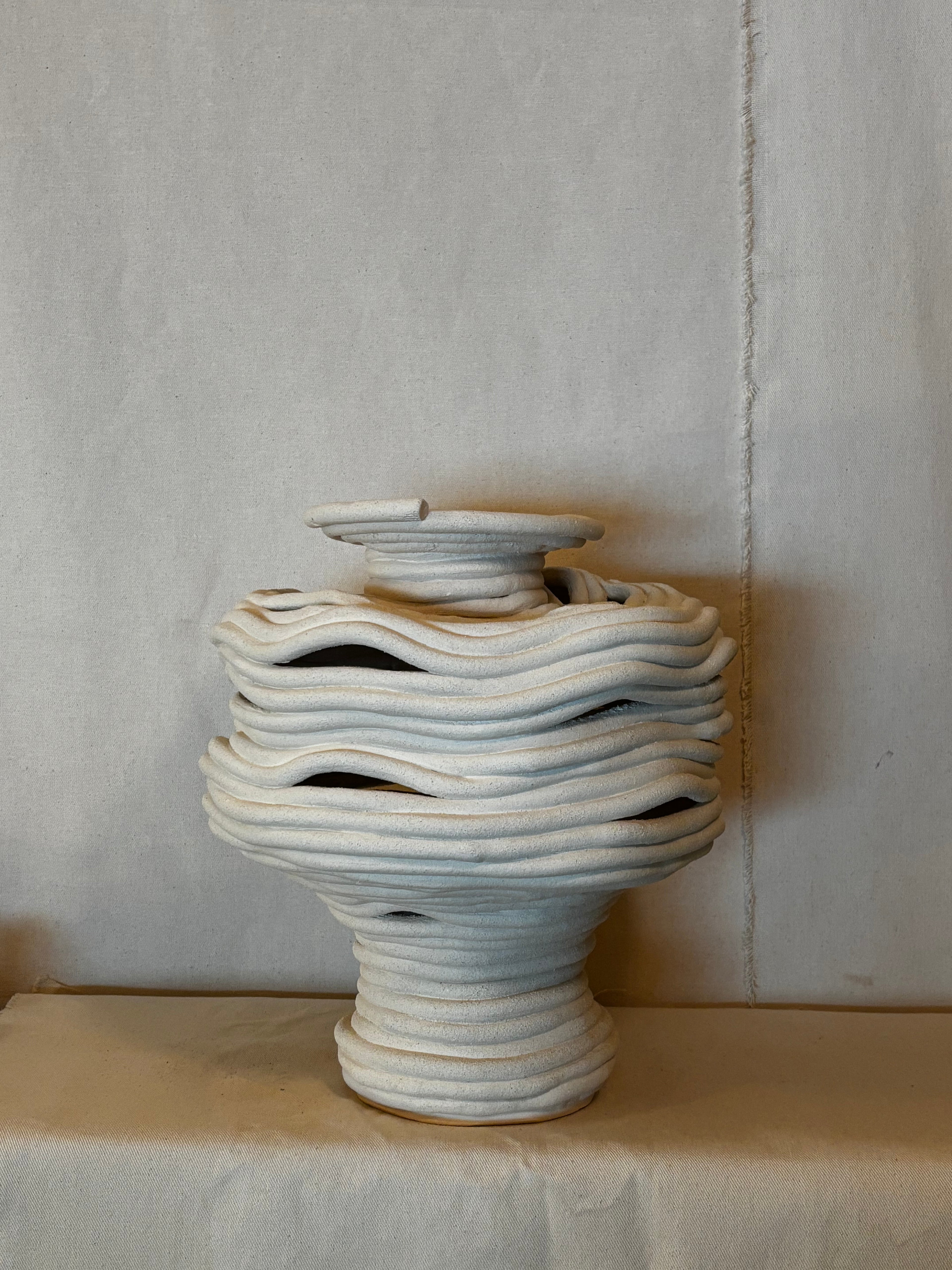 Sample Fossil Vase - Abstract